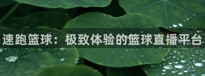 速跑篮球：极致体验的篮球直播平台