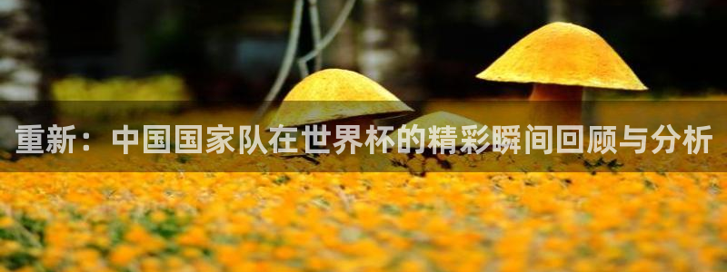 重新：中国国家队在世界杯的精彩瞬间回顾与分析