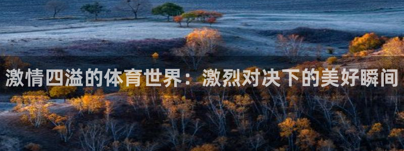 激情四溢的体育世界：激烈对决下的美好瞬间