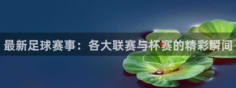 最新足球赛事：各大联赛与杯赛的精彩瞬间
