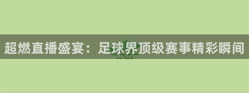 超燃直播盛宴：足球界顶级赛事精彩瞬间