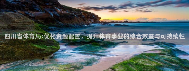 四川省体育局:优化资源配置，提升体育事业的综合效益与可持续性