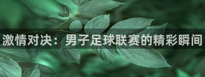 激情对决：男子足球联赛的精彩瞬间