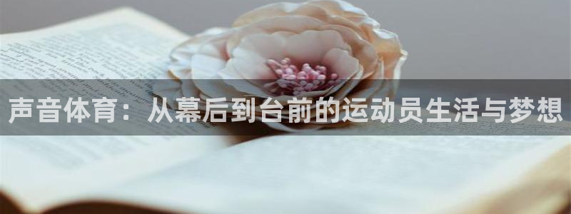 声音体育：从幕后到台前的运动员生活与梦想