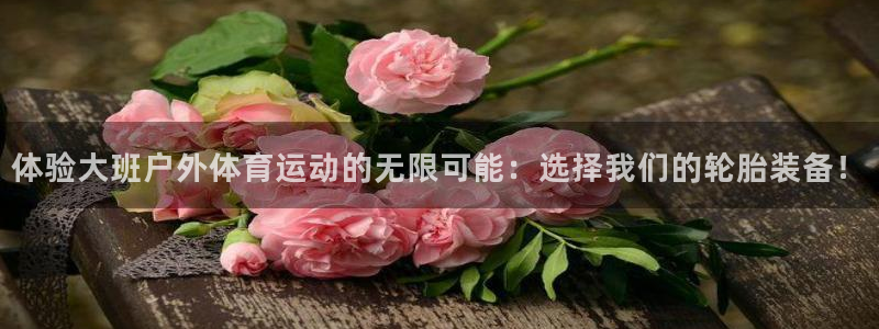 体验大班户外体育运动的无限可能：选择我们的轮胎装备！