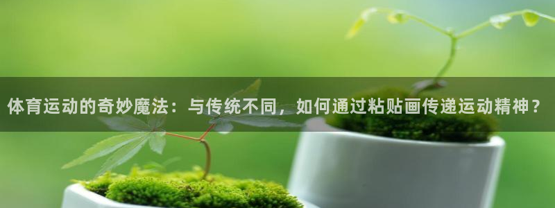 体育运动的奇妙魔法：与传统不同，如何通过粘贴画传递运动精神？