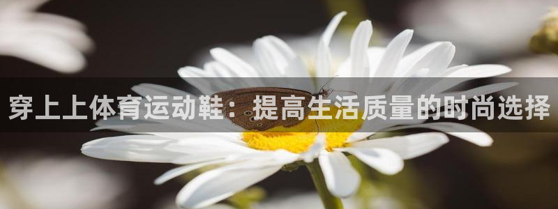 穿上上体育运动鞋：提高生活质量的时尚选择