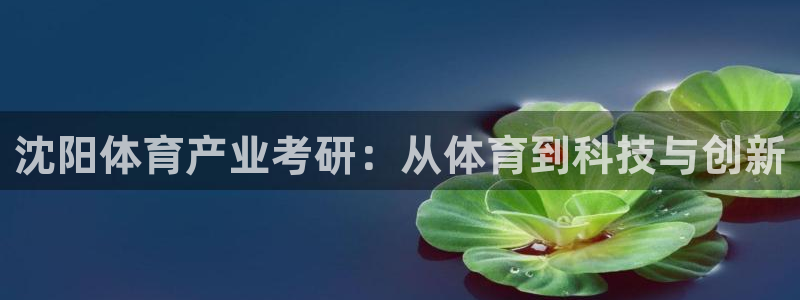沈阳体育产业考研：从体育到科技与创新