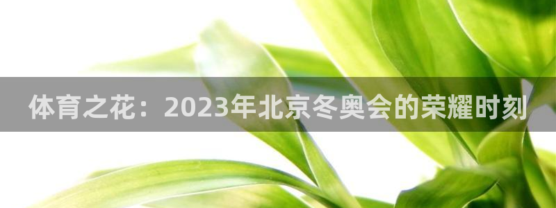 体育之花：2023年北京冬奥会的荣耀时刻