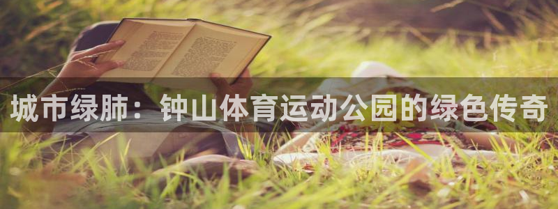 城市绿肺：钟山体育运动公园的绿色传奇