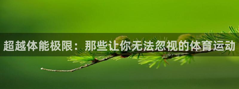 超越体能极限：那些让你无法忽视的体育运动
