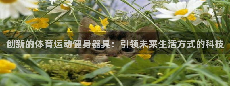 创新的体育运动健身器具：引领未来生活方式的科技