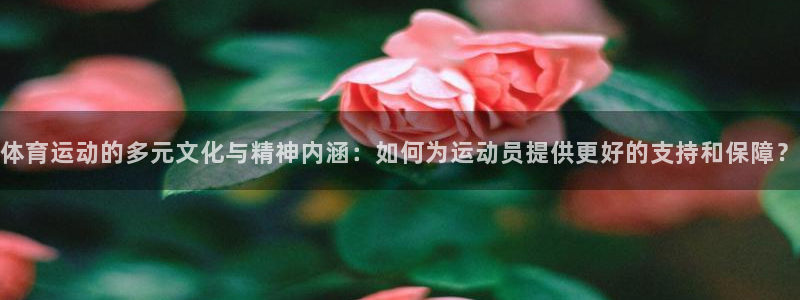 体育运动的多元文化与精神内涵：如何为运动员提供更好的支持和保障？