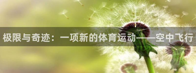 极限与奇迹：一项新的体育运动——空中飞行