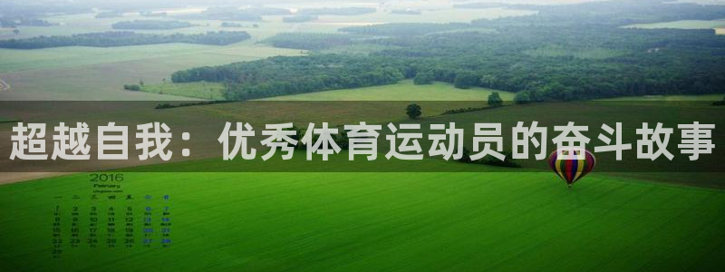 超越自我：优秀体育运动员的奋斗故事
