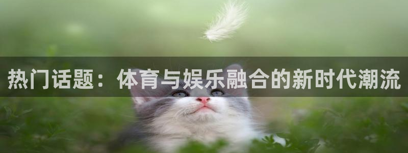 热门话题：体育与娱乐融合的新时代潮流