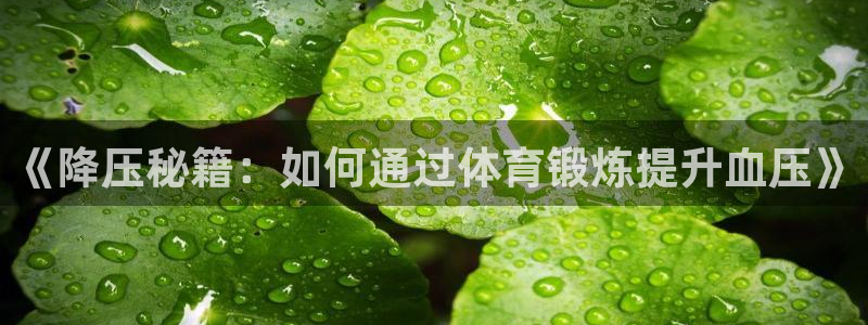 《降压秘籍：如何通过体育锻炼提升血压》