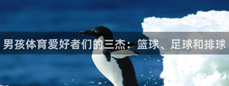男孩体育爱好者们的三杰：篮球、足球和排球
