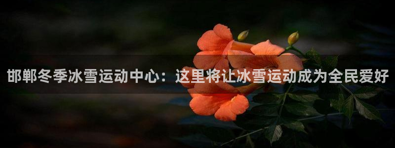 邯郸冬季冰雪运动中心：这里将让冰雪运动成为全民爱好