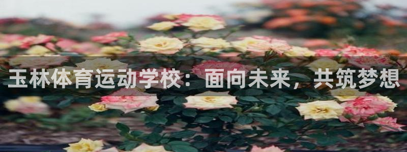 玉林体育运动学校：面向未来，共筑梦想