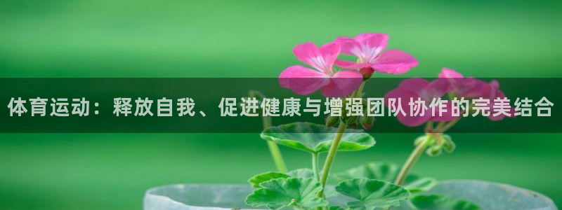 体育运动：释放自我、促进健康与增强团队协作的完美结合