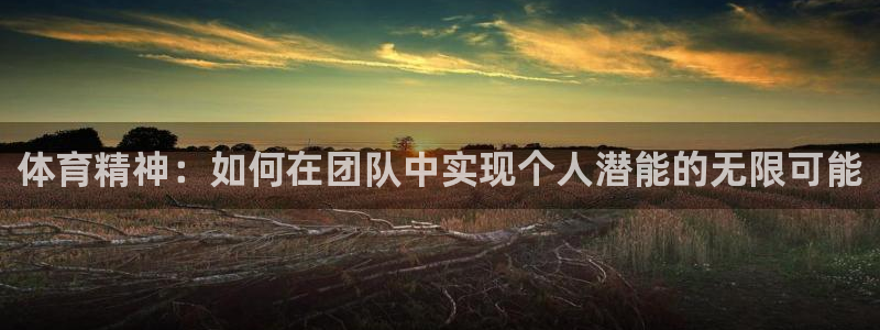 体育精神：如何在团队中实现个人潜能的无限可能
