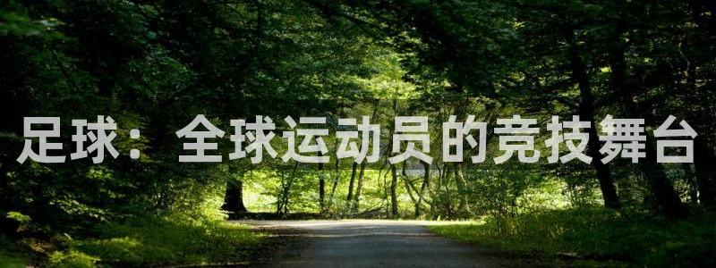 足球：全球运动员的竞技舞台